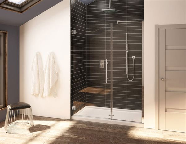 Hinged Shower Door
