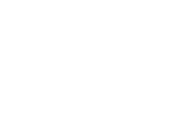 Paramount Fence